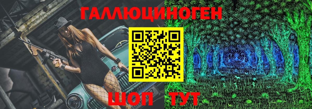 Донской  Псилоцибиновые грибы MAGIC MUSHROOMS  Вход с VPN 
